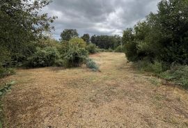 Istra, Žminj, okolica - građevinsko zemljište u manjem naselju, Žminj, Terrain