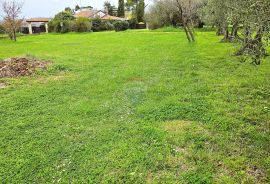 Istra, Umag okolica, građevinsko zemljište uz plažu, Umag, Land