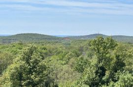 Istra - Svetvinčenat okolica - zemljište 900 m2 za izgradnju odmah, Svetvinčenat, Land