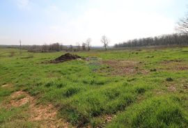 TAR, okolica- poljoprivredno zemljište, Tar-Vabriga, Land