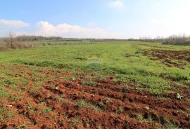 TAR, okolica- poljoprivredno zemljište, Tar-Vabriga, Land