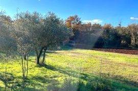 Istra,Umag okolica,građevinske parcele !, Umag, Land