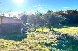 Istra,Umag okolica,građevinske parcele !, Umag, Land