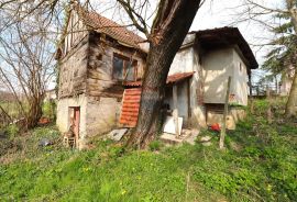 Bukovec Zelinski, legalizirana vikendica 61m2 i gospodarski objekt 38m2, Sveti Ivan Zelina, House