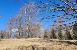 Gorski Kotar, Polane - građevinski teren, Delnice, Земля