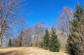 Gorski Kotar, Polane - građevinski teren, Delnice, Земля