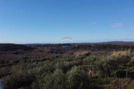 Istra, Buje - Građevinsko zemljište s pogledom na more, Buje, Tierra