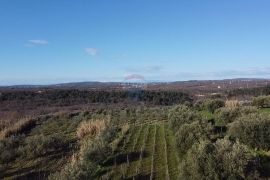 Istra, Buje - Građevinsko zemljište s pogledom na more, Buje, Arazi