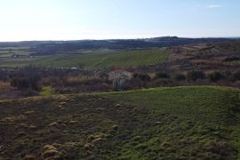 Istra, Buje - Građevinsko zemljište s pogledom na more, Buje, Arazi