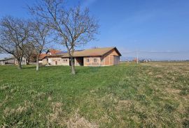 Botinec, poslovni prostor, zakup, 843 m2, Brezovica, Εμπορικά ακίνητα