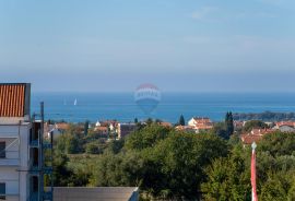 Istra, Poreč - moderna novogradnja sa bazenom i tri stambene jedinice, Poreč, Kuća