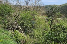 Istra, Podberam - građevinski teren, cjena nije fiksna, Pazin - Okolica, أرض