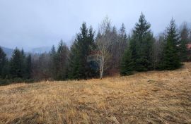 Gorski Kotar, Stari Laz - građevinski teren sa dozvolom i projektom, Ravna Gora, Land