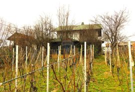 Brckovljani, Martinščina, kuća i vinograd, Brckovljani, House