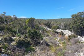 Veli Lošinj - Poljoprivredni teren s pogledom na more, Mali Lošinj, Terreno