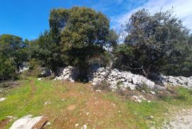 Veli Lošinj - Poljoprivredni teren s pogledom na more, Mali Lošinj, Terreno