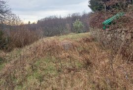 Istra, Momjan-okolica autohtona kuća i građevinske parcele, Buje, Haus