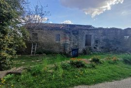 Istra, Momjan-okolica, istarsko imanje za adaptaciju od 95.000 m2, Buje, Casa