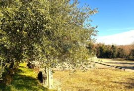 Građevinsko zemljište, Kaštel, Buje, Buje, Land