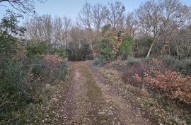 Istra, Peroj, teren s urednim pristupom, Vodnjan, Terreno