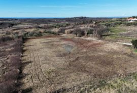 Istra,Buje-Građevinsko zemljište s prekrasnim pogledom na more, Buje, Terreno