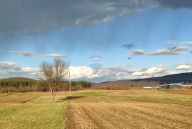 Ogulin, građevinsko zemljište u industrijskoj zoni, Ogulin, Land