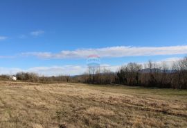 Veliko građevinsko zemljište u blizini Pazina, Pazin - Okolica, Terreno