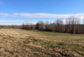 Veliko građevinsko zemljište u blizini Pazina, Pazin - Okolica, Terreno