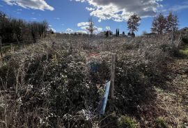 Istra, Vižinada - okolica, građevinsko zemljište otvorenog pogleda na prirodu, Vižinada, Terrain