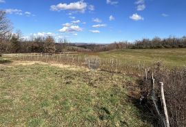 Istra, Vižinada - okolica, građevinsko zemljište otvorenog pogleda na prirodu, Vižinada, Land