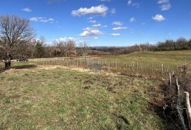 Istra, Vižinada - okolica, građevinsko zemljište otvorenog pogleda na prirodu, Vižinada, Land