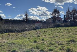 Istra, Vižinada - okolica, građevinsko zemljište otvorenog pogleda na prirodu, Vižinada, Terrain