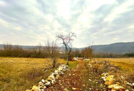 Poljoprivredno zemljište, Grožnjan, struja i voda, Grožnjan, Γη