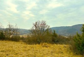 Poljoprivredno zemljište, Grožnjan, struja i voda, Grožnjan, Γη