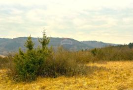 Poljoprivredno zemljište, Grožnjan, struja i voda, Grožnjan, Γη