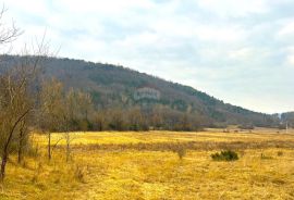 Poljoprivredno zemljište, Istra, Grožnjan, Grožnjan, Γη