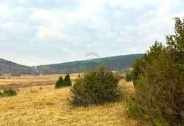 Poljoprivredno zemljište, Istra, Grožnjan, Grožnjan, Γη