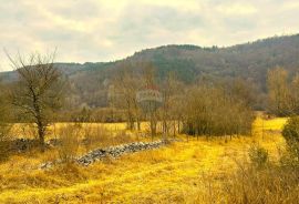 Poljoprivredno zemljište, Istra, Grožnjan, Grožnjan, Γη