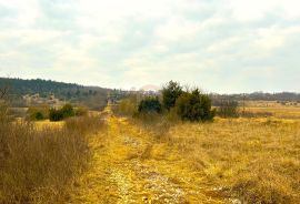 Poljoprivredno zemljište, Istra, Grožnjan, Grožnjan, Γη