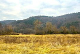 Poljoprivredno zemljište, Istra, Grožnjan, Grožnjan, Γη