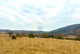 Poljoprivredno zemljište, Istra, Grožnjan, Grožnjan, Tierra