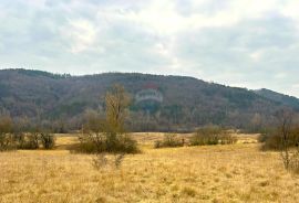 Poljoprivredno zemljište, Istra, Grožnjan, Grožnjan, Land