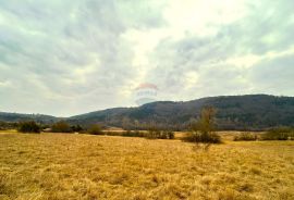 Poljoprivredno zemljište, Istra, Grožnjan, Grožnjan, Land