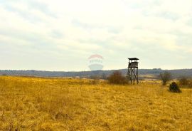 Poljoprivredno zemljište, Istra, Grožnjan, Grožnjan, Tierra