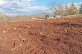 Istra, Karojba - građevinski teren 1896 m2, Karojba, Tierra