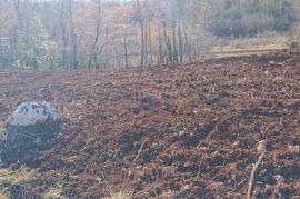 Istra, Karojba - građevinski teren 1896 m2, Karojba, Terreno