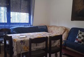 Gorski Kotar - Delnice, etaža kuće u prizemlju, Delnice, Appartment