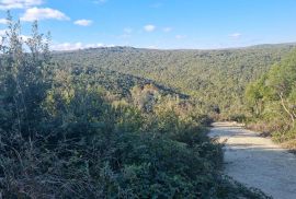 Istra, Peruški poljoprivredno zemljište 597, Marčana, Terreno