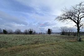 Istra, okolica Barbana, građevinsko zemljište, Barban, أرض