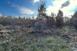 Istra, Poreč okolica, građevinsko zemljište, Poreč, Terreno